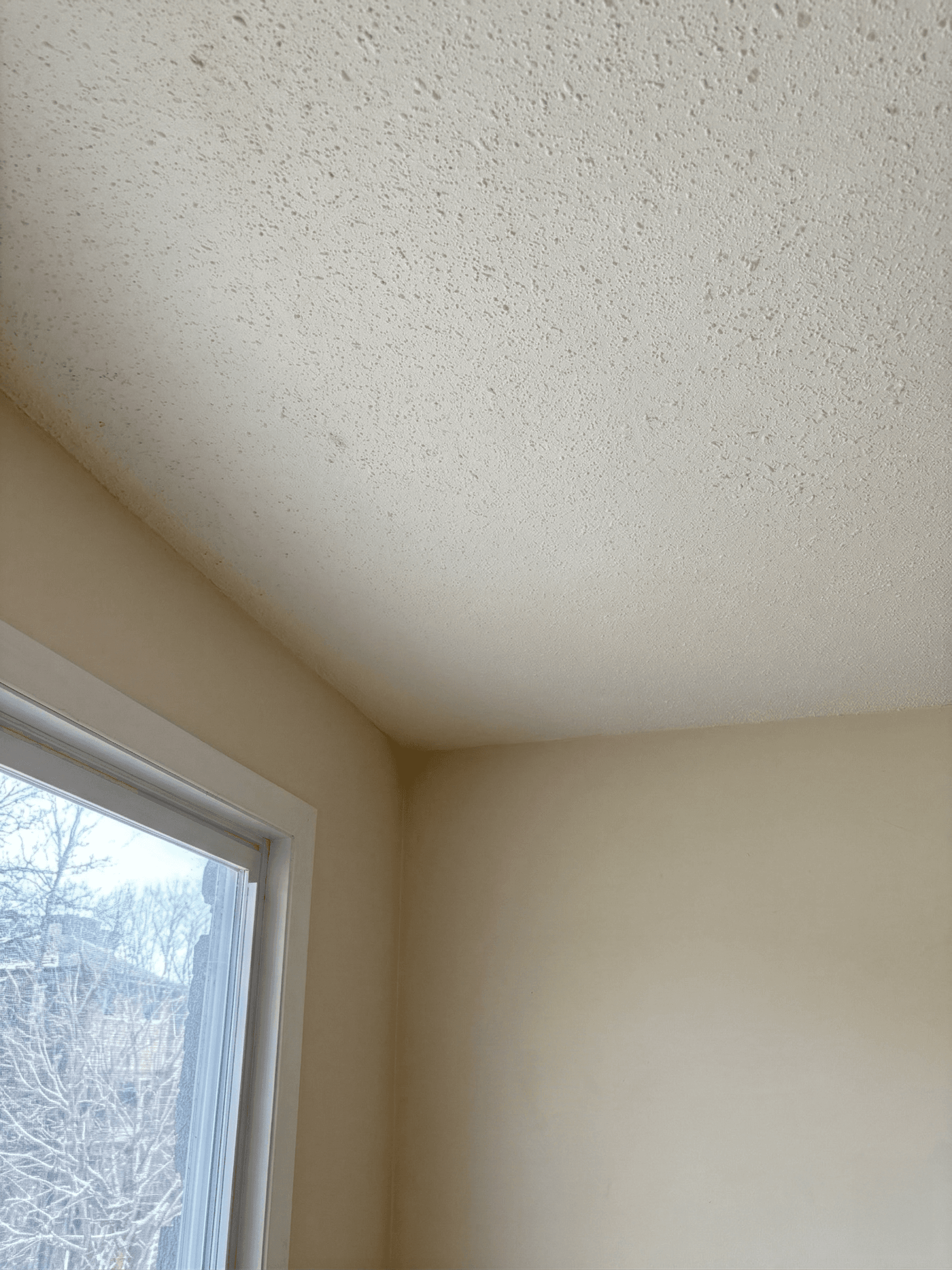 Ceilings project in Ottawa by Fidan Construction - after