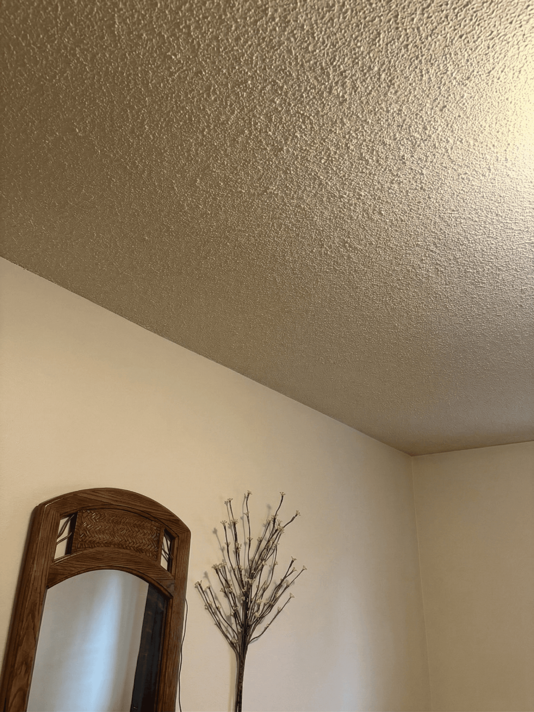 Ceilings project in Ottawa by Fidan Construction - after