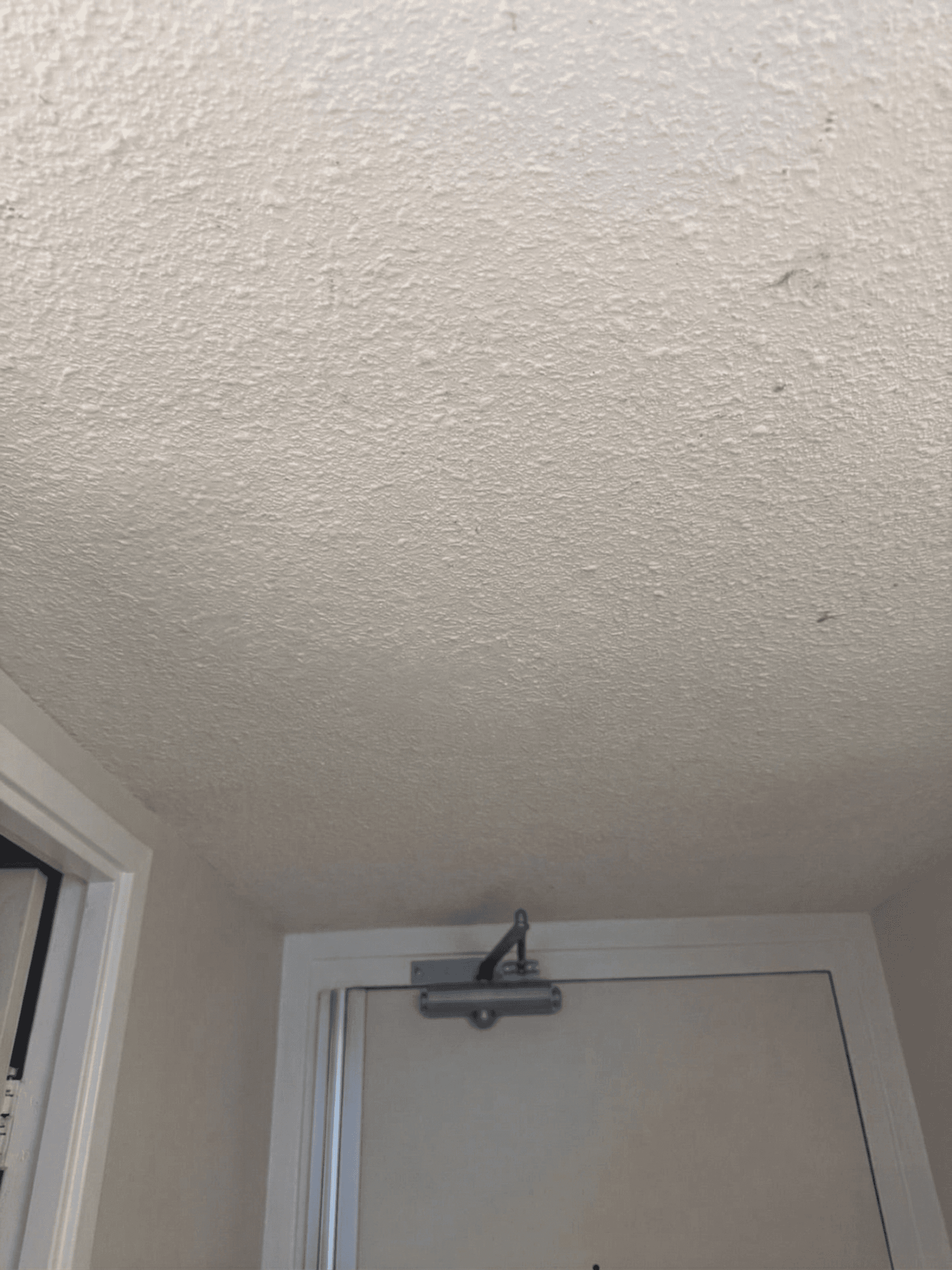 Ceilings project in Ottawa by Fidan Construction - after