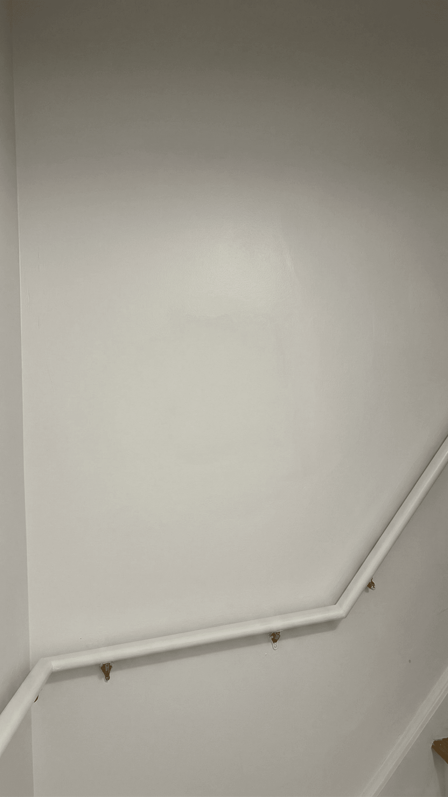 Walls project in Ottawa by Fidan Construction - after