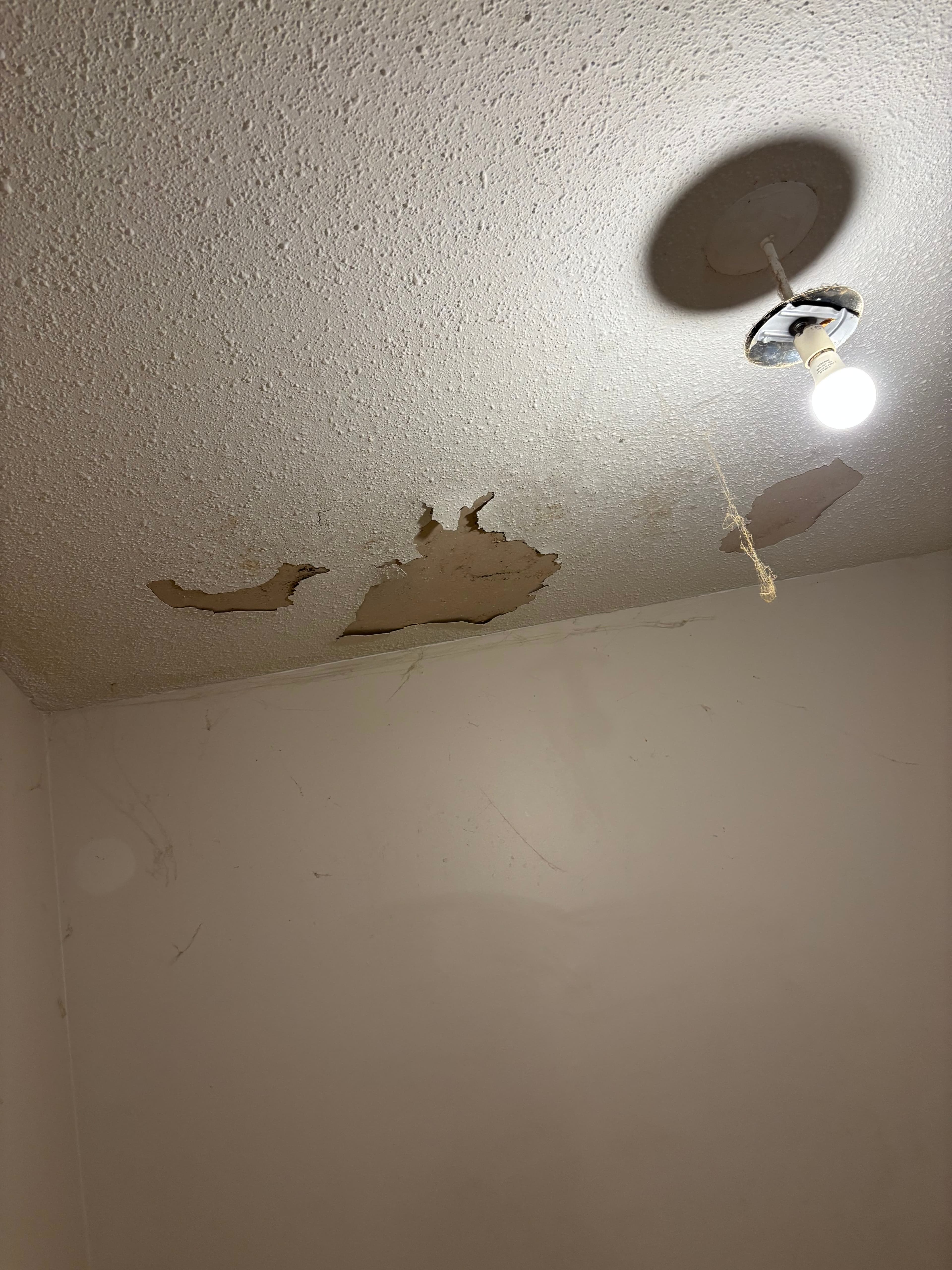 Walls project in Ottawa by Fidan Construction - before