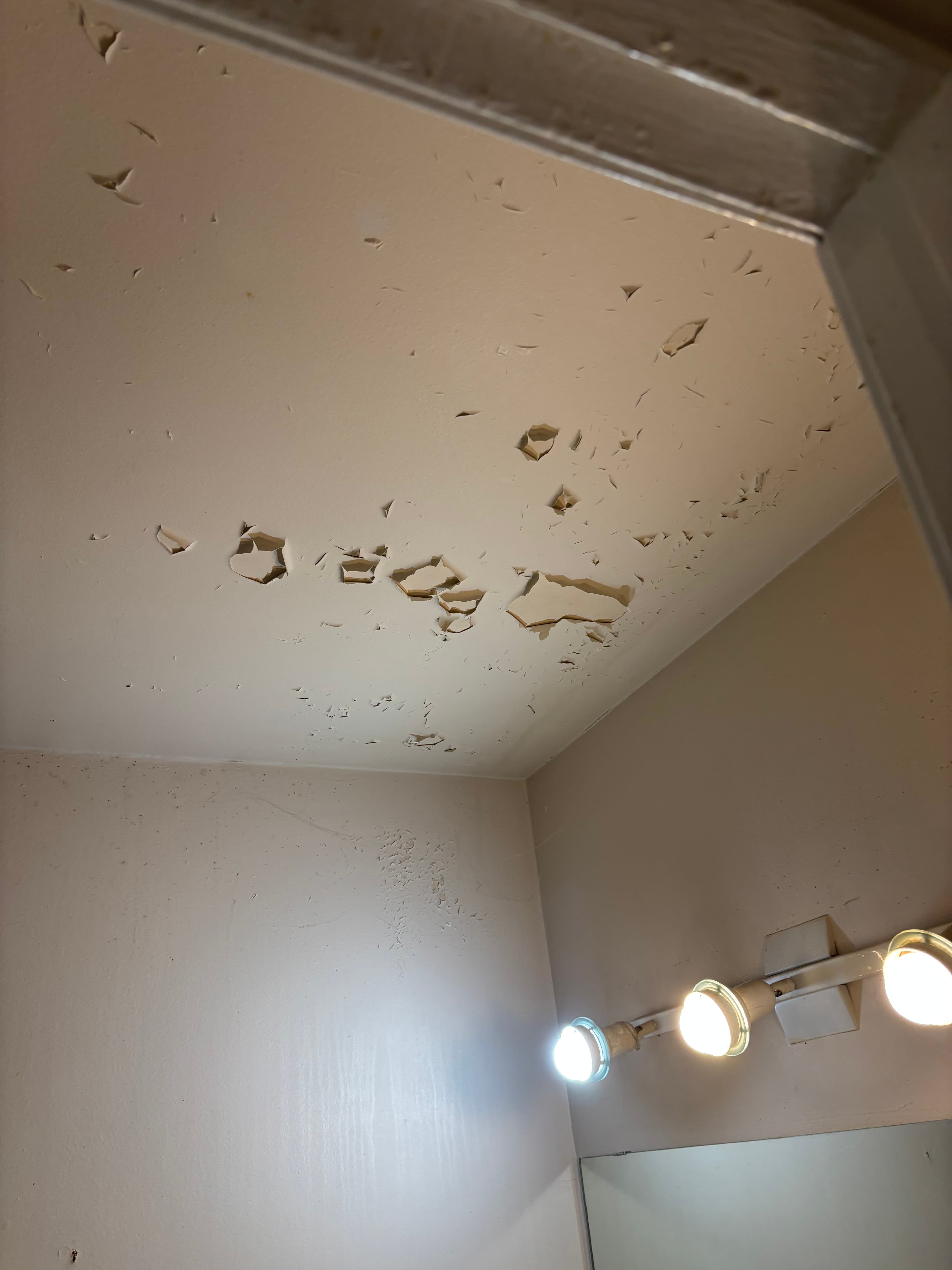 Walls project in Ottawa by Fidan Construction - before