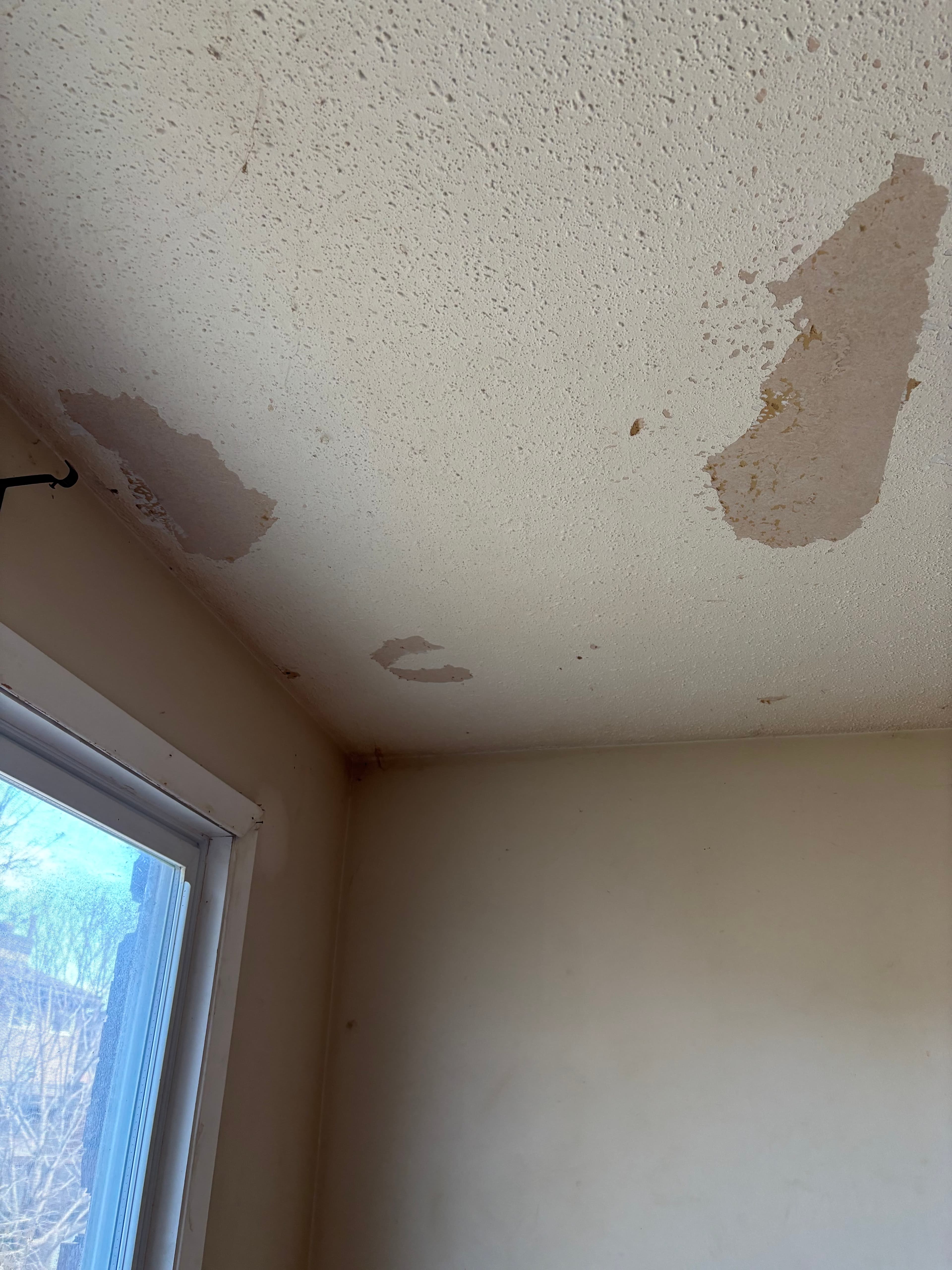 Ceilings project in Ottawa by Fidan Construction - before