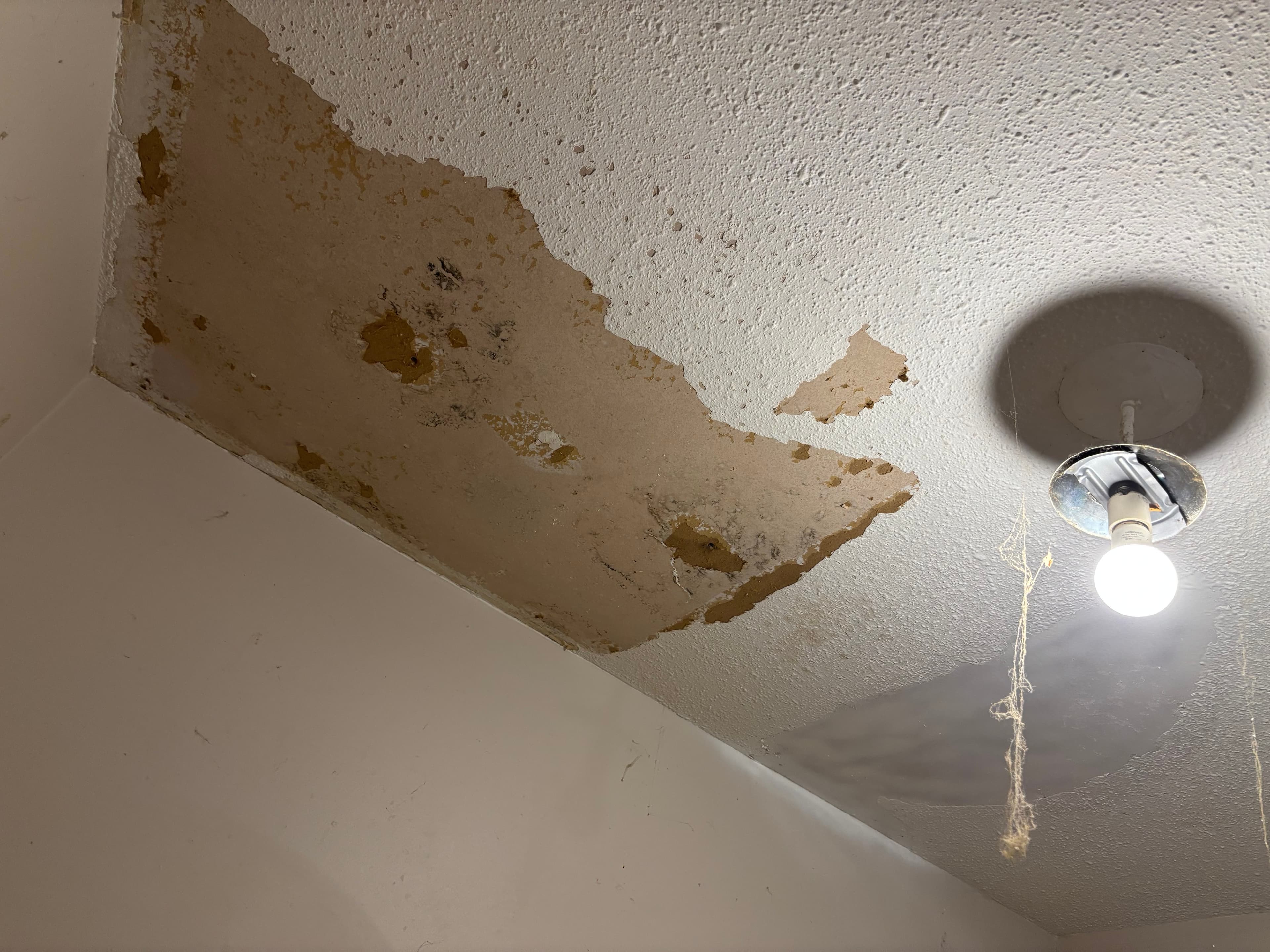 Ceilings project in Ottawa by Fidan Construction - before