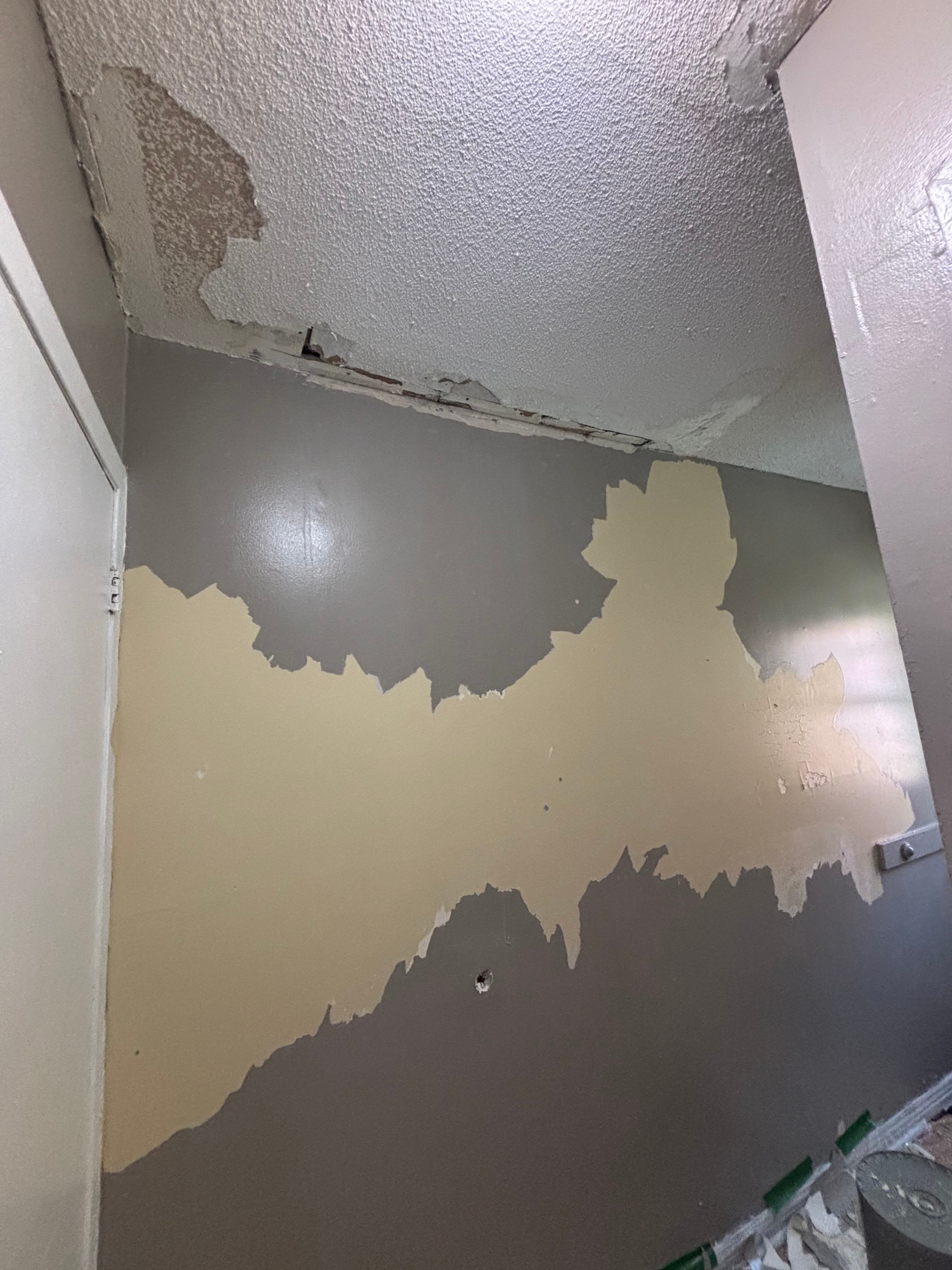 Water Damage project in Ottawa by Fidan Construction - before