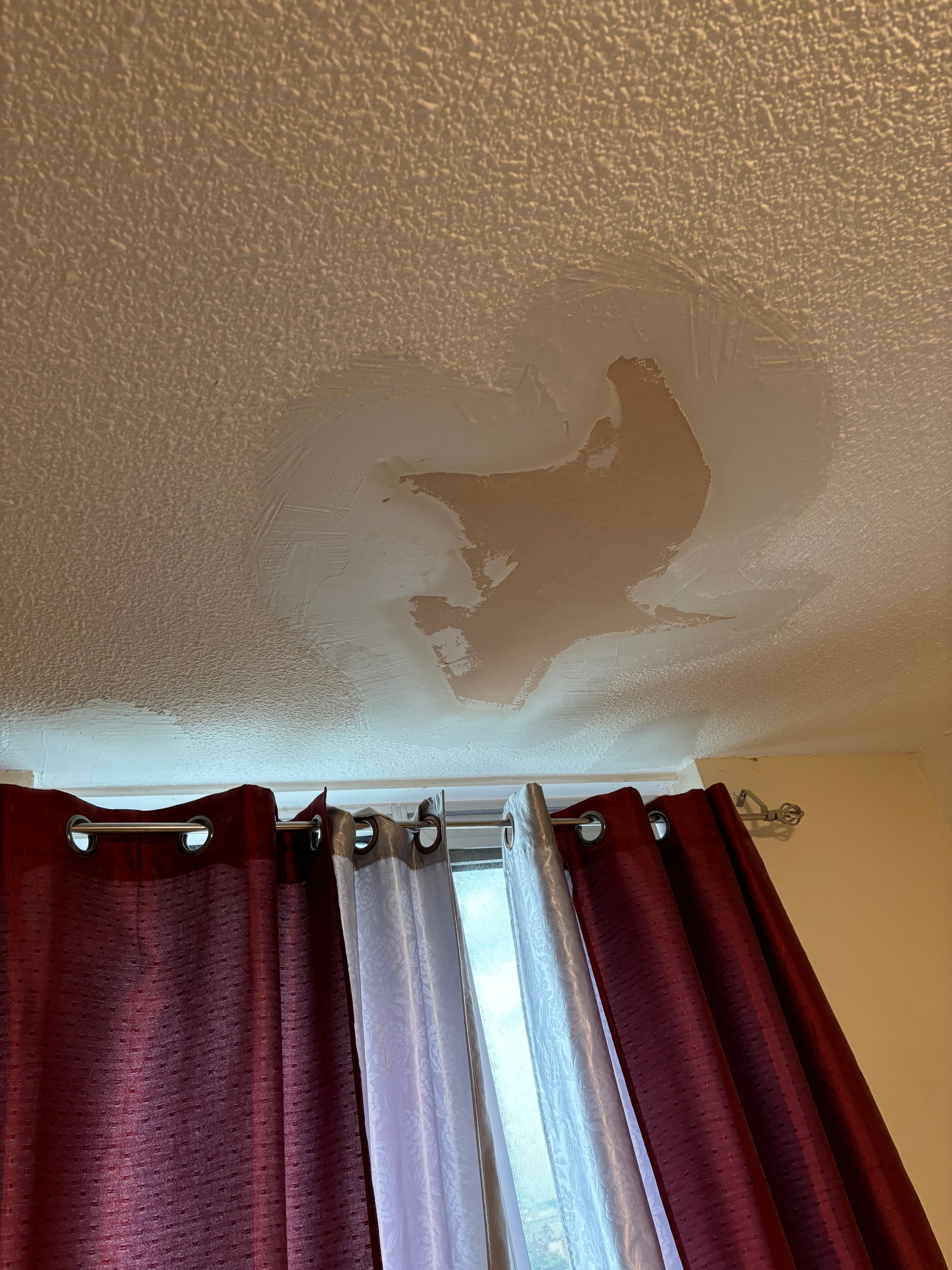 Walls project in Ottawa by Fidan Construction - before